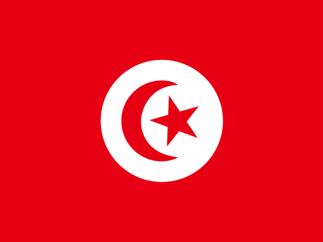 Cheap International Shipping to Tunisia from USA - ShipW